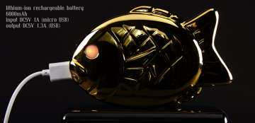 img_60776_3-720x348-1