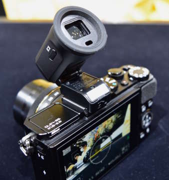 Nikon DL