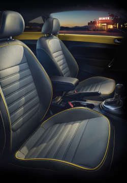 ザ・ビートル デューン