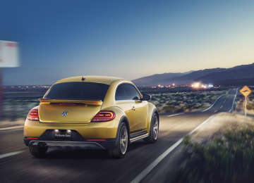 ザ・ビートル デューン