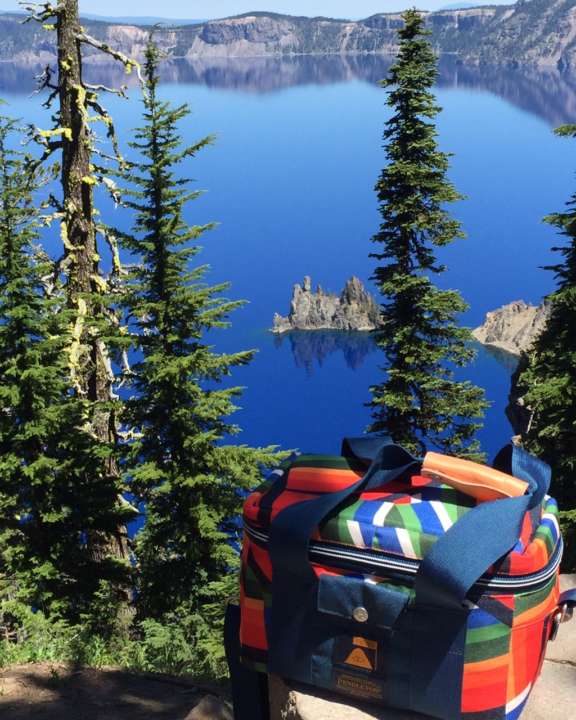 Pendleton Camera Cooler