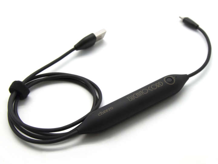 ピンチを乗り切れ バッグに忍ばせたいモバイルバッテリー7選 小型軽量モデル Gp Part 2