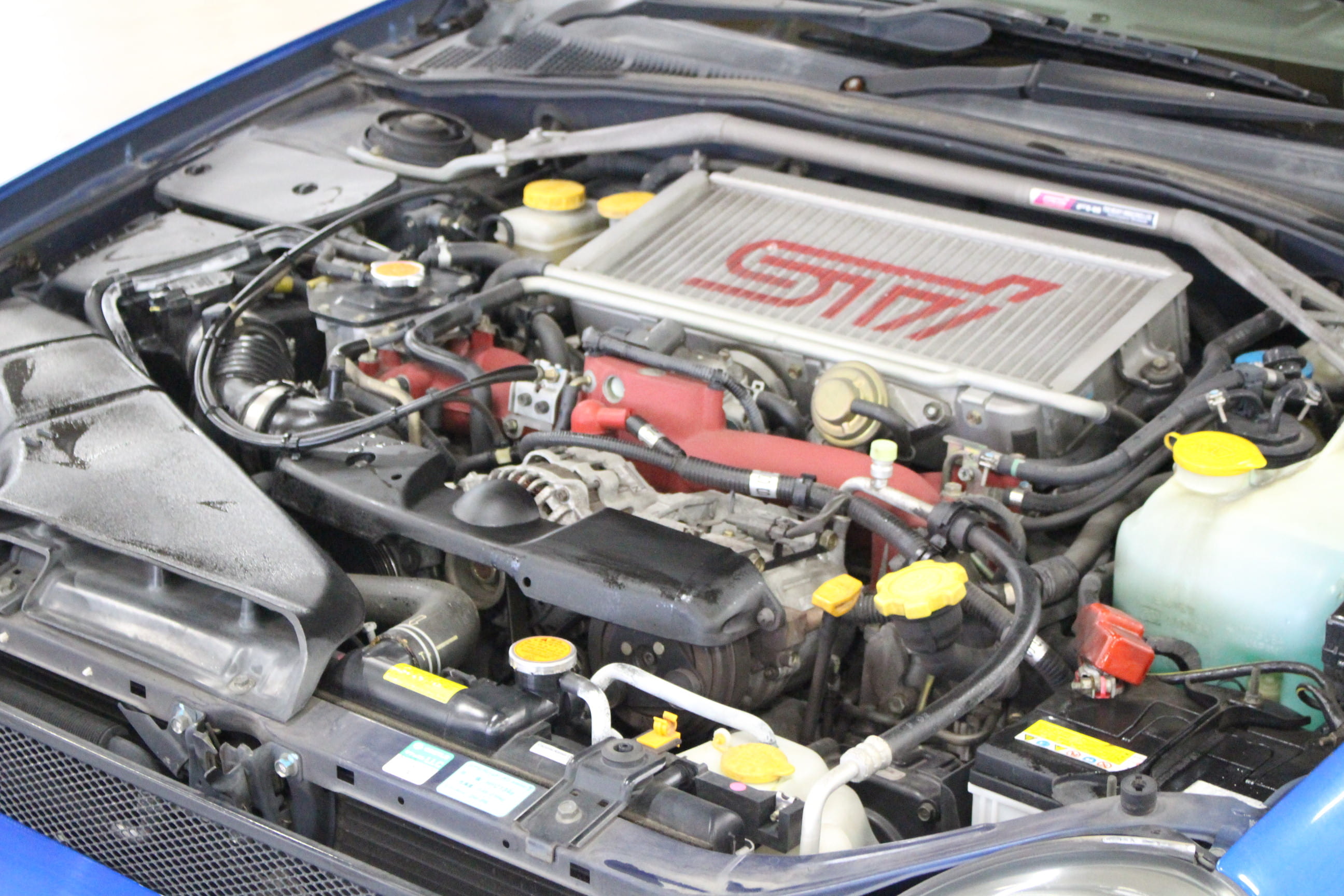 トーションレースのフルボンネット　黒 USED】トーションレースのフルボンネット（ブラック×ブラック