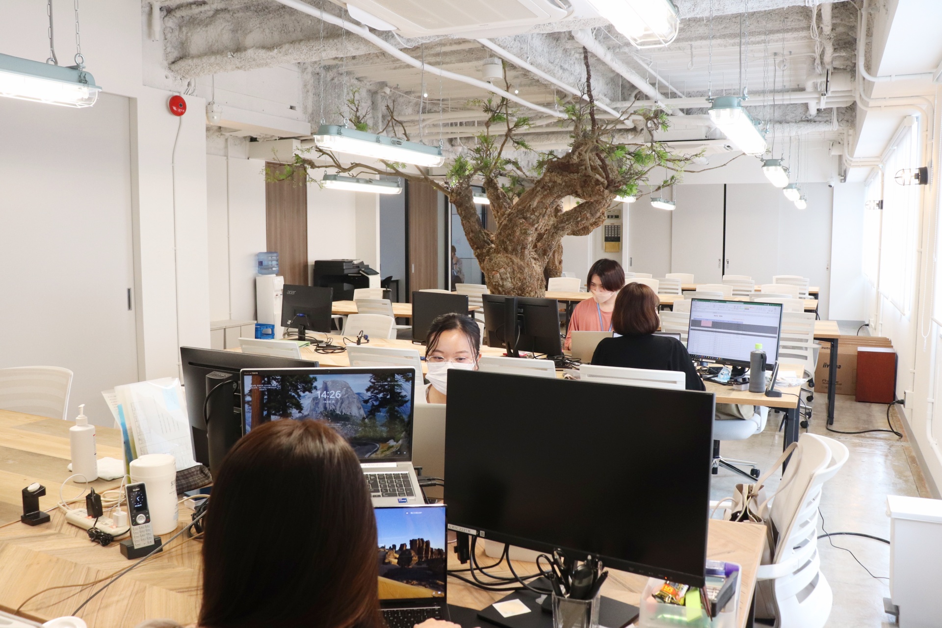 株式会社アンクス Webデザイナーの採用情報 タマリバ 株式会社アンクス Webデザイナーの採用情報 タマリバ