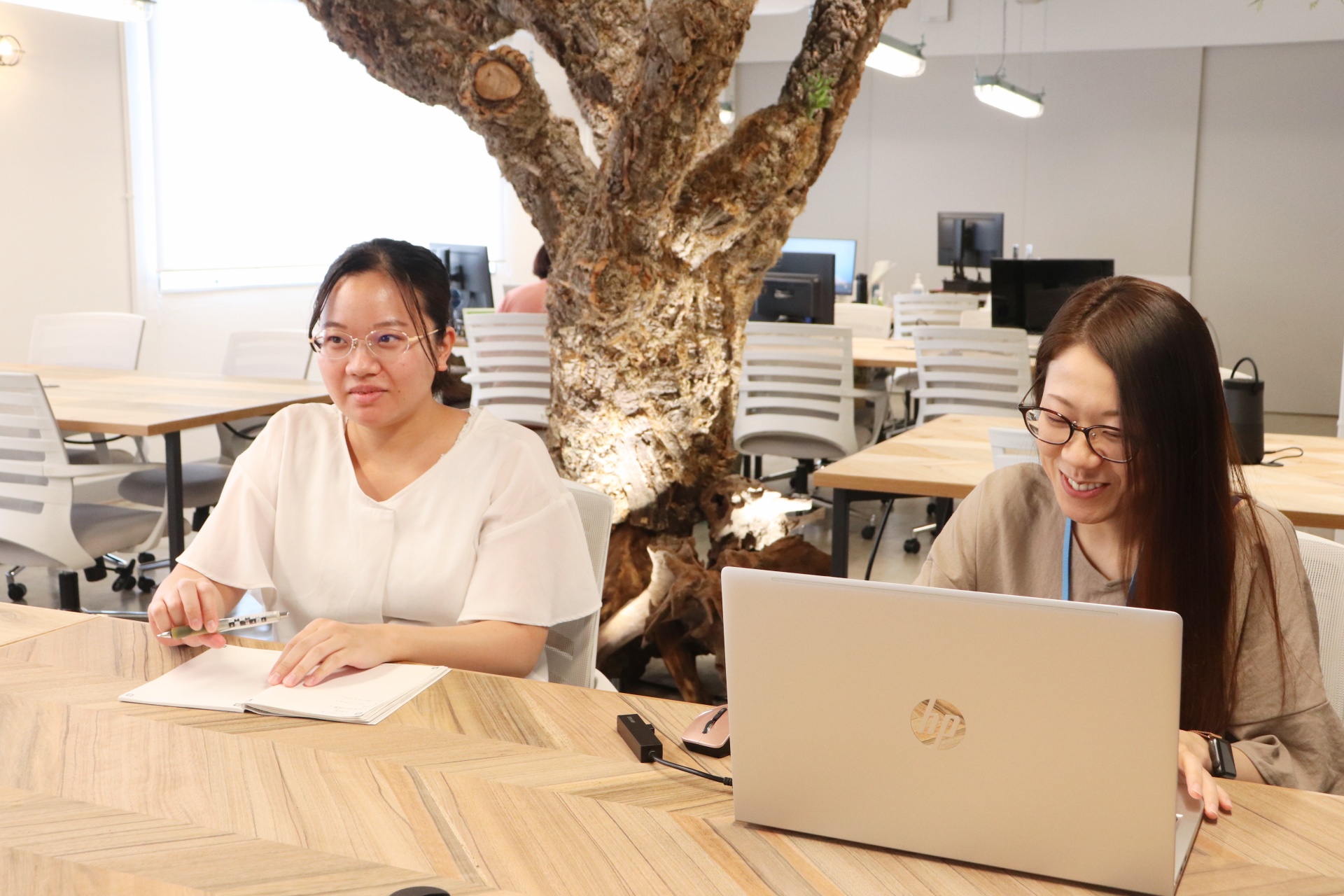 株式会社アンクス Webデザイナーの採用情報 タマリバ 株式会社アンクス Webデザイナーの採用情報 タマリバ