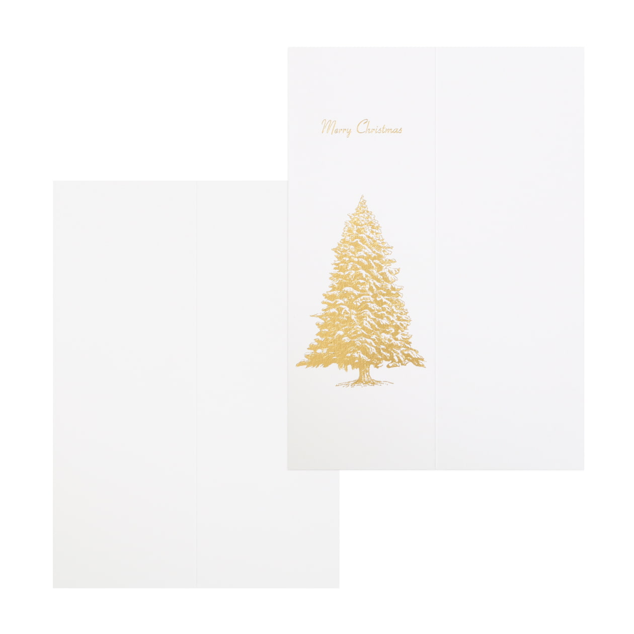 #66Vカード tree