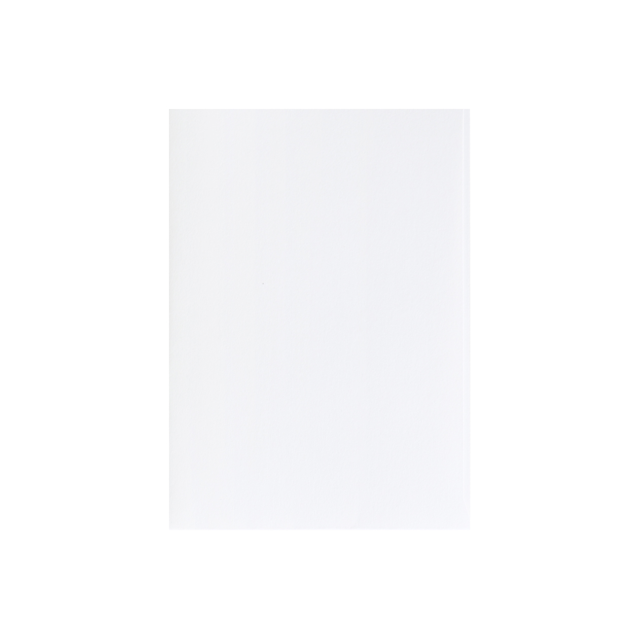 B6ファイル Basic プレインホワイト 100g