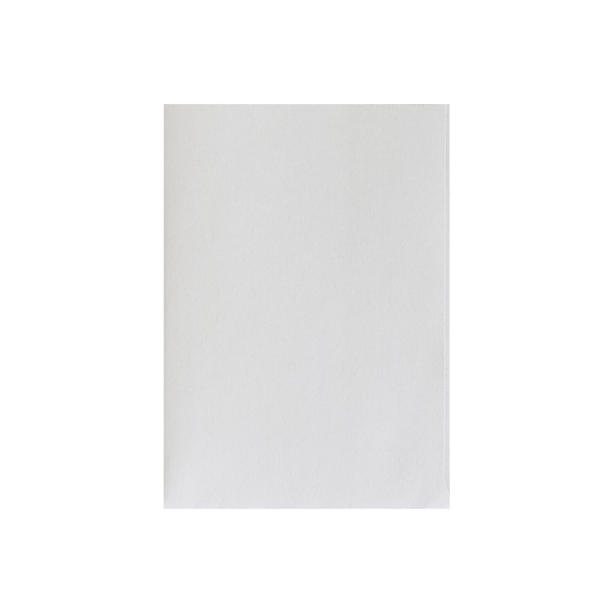 B6ファイル Basic ライナーグレイ 100g