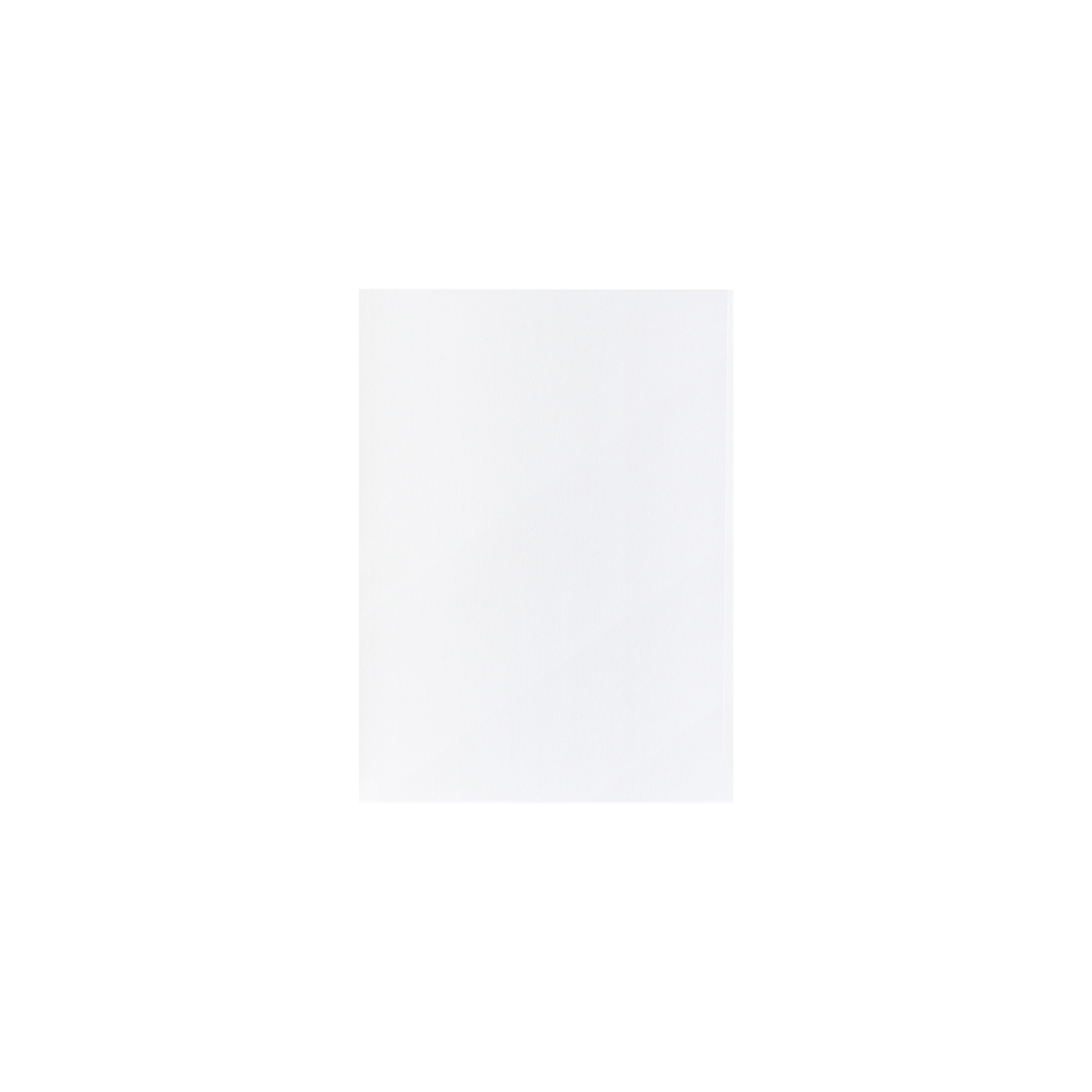 B7ファイル Basic プレインホワイト 100g