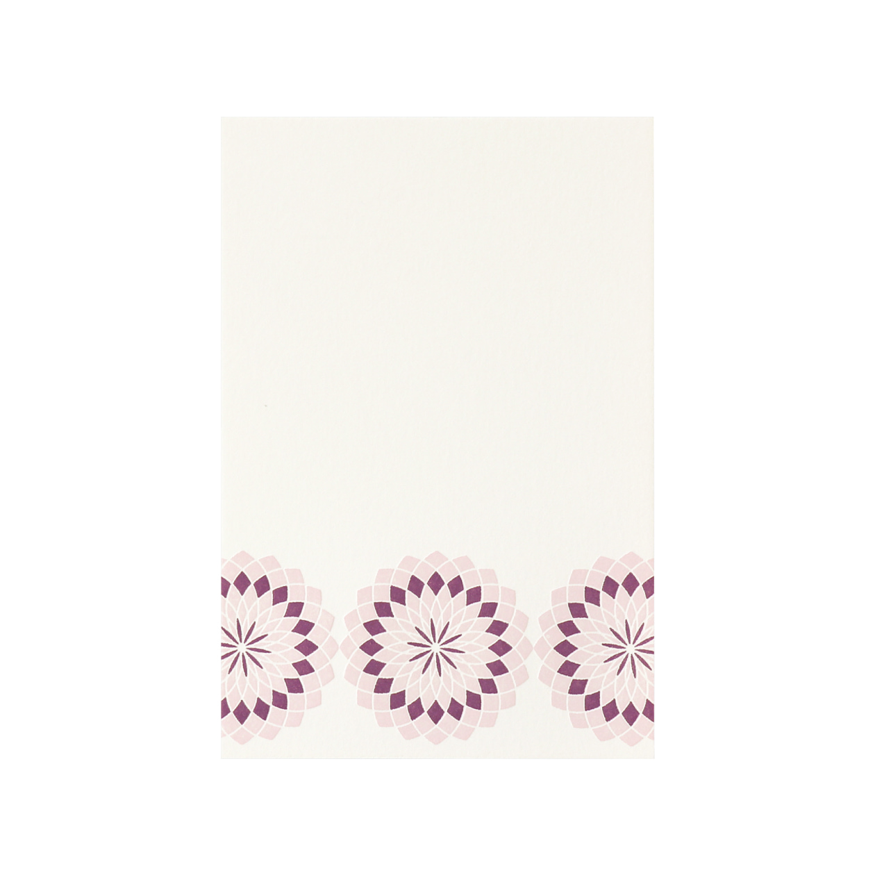 はがき 菊花