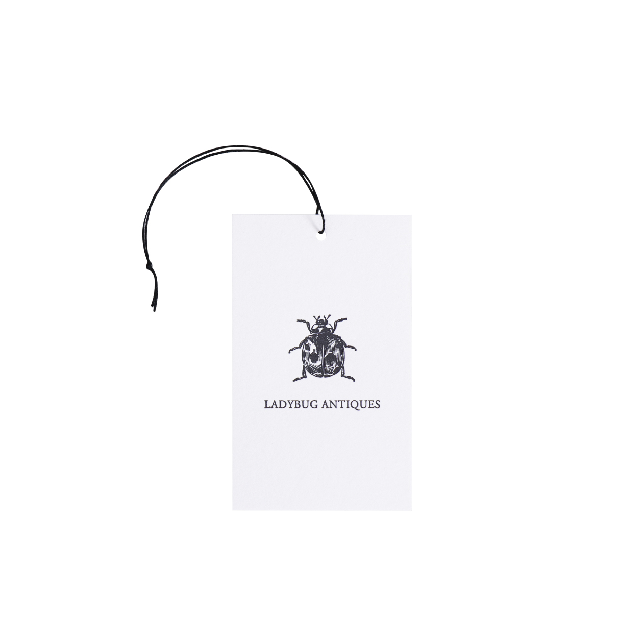 サンプル カード（タグ）00736