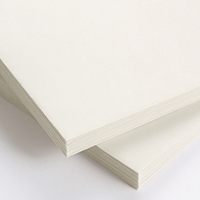 晒（さらし）クラフト 120g