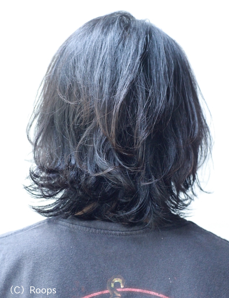 ニュアンスパーマのメンズロング 表参道の美容室ループス Roops のヘアカタログ