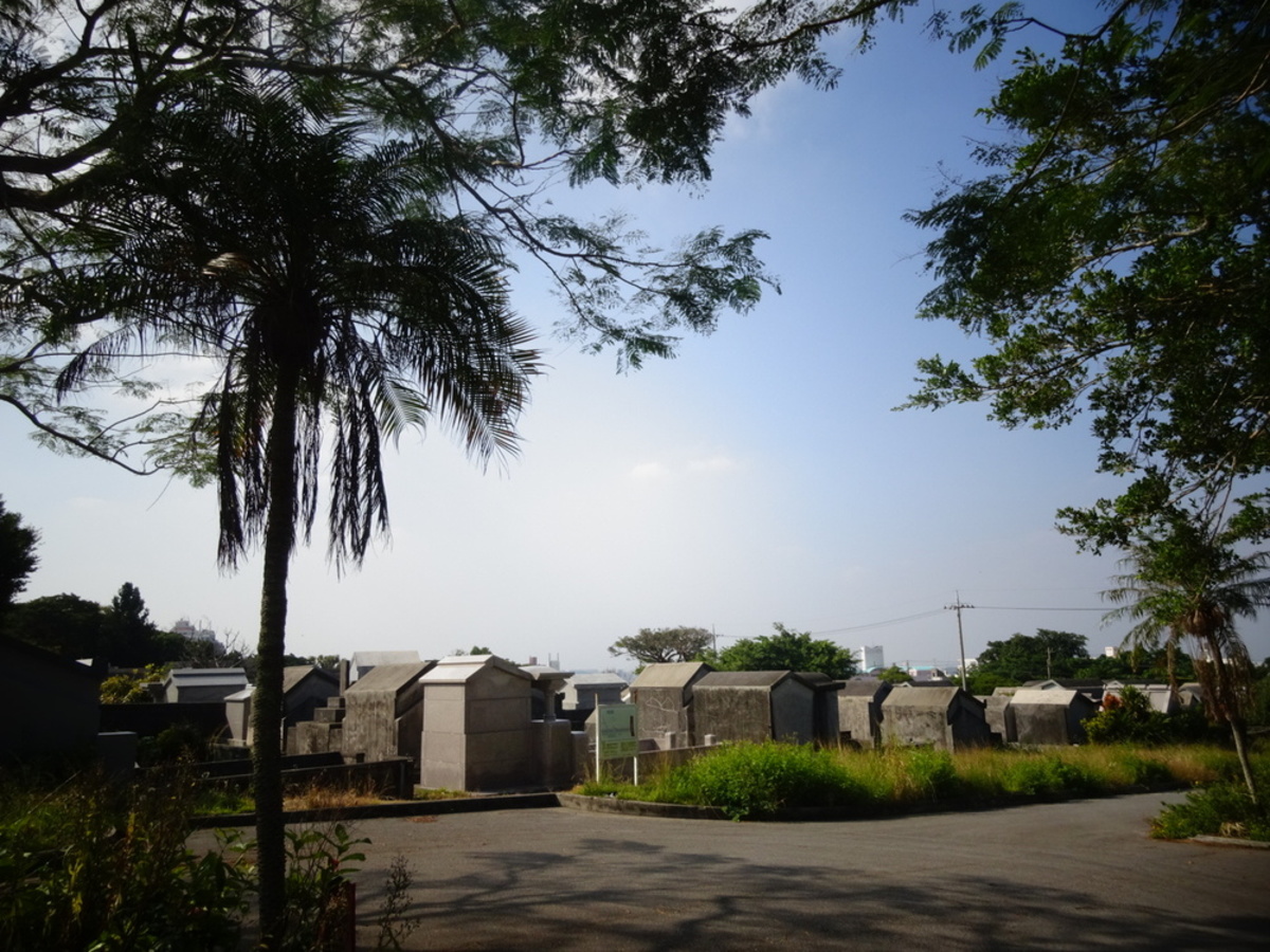 旅で知った沖縄のお墓事情〜変わりゆく時代と伝統継承の間で