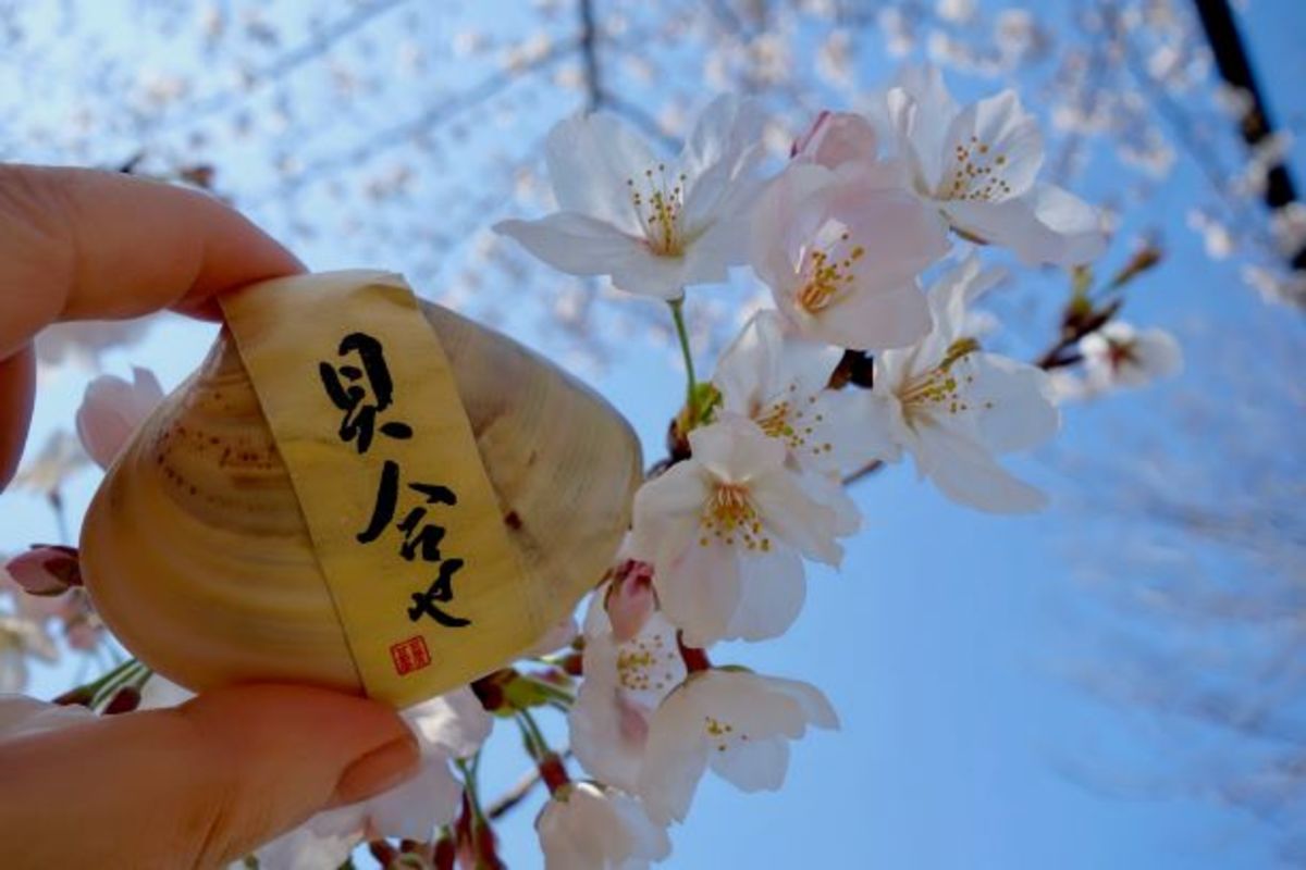 和菓子と暮らせば ～京都・甘春堂本店の「貝合せ」で春の雅を〜