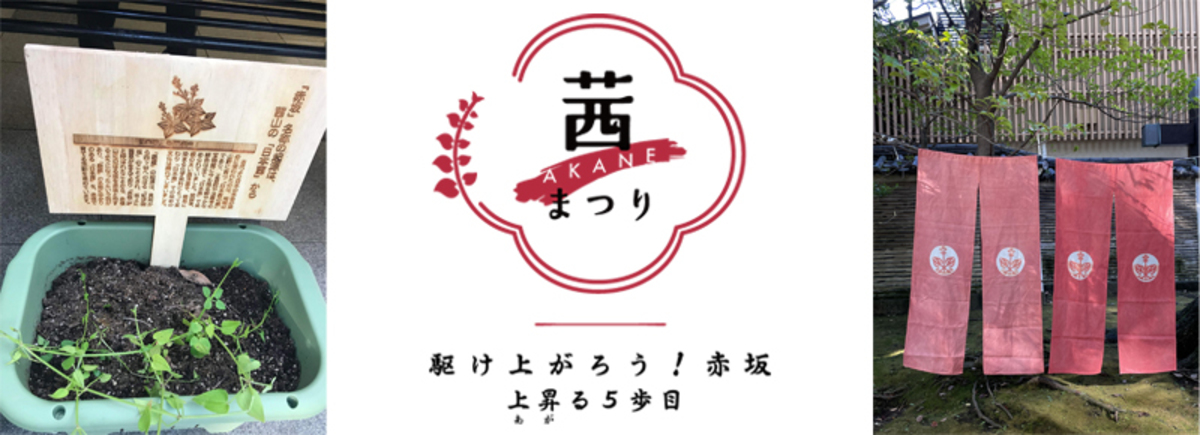 赤坂の茜ー赤坂氷川神社から始まった地域の歴史再発見