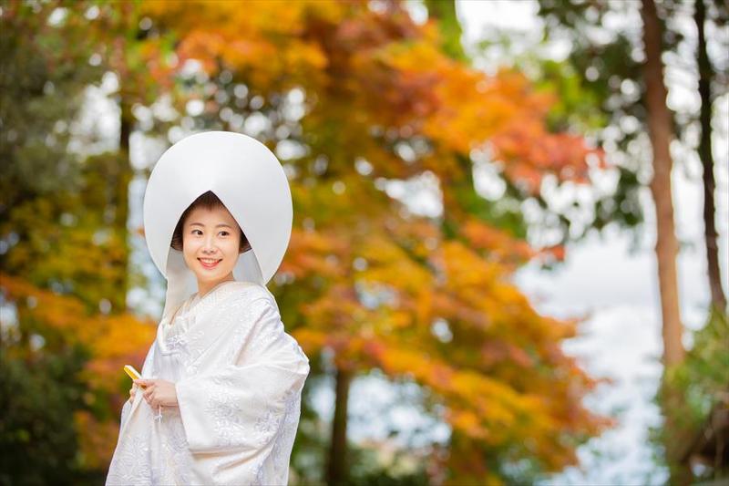 白無垢と色打掛～日本の伝統的な花嫁衣裳について知りたい