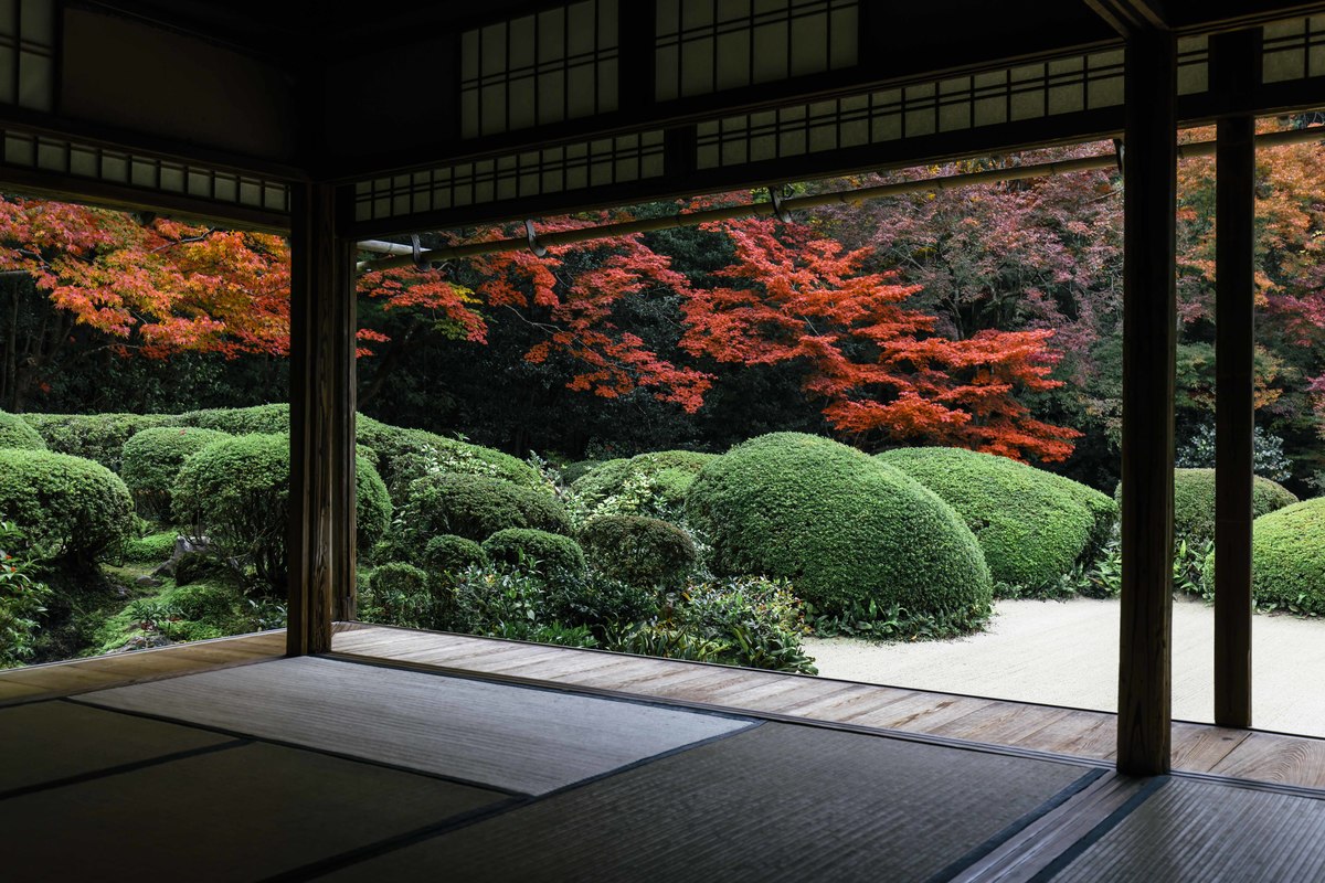 秋ならではの京都の美～詩仙堂／色づく木々の向こうに