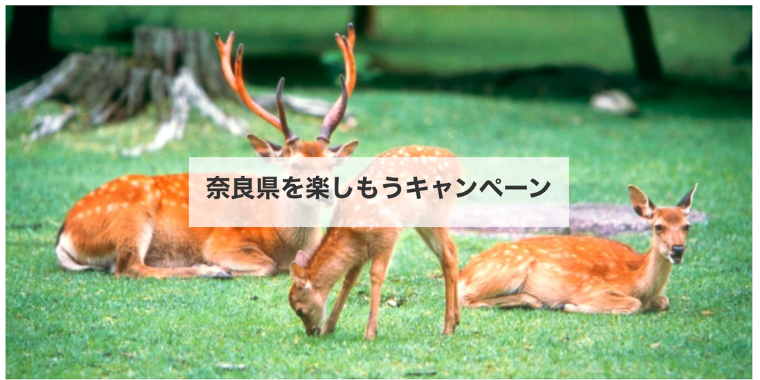 【近畿日本ツーリスト】奈良県を楽しもうキャンペーン