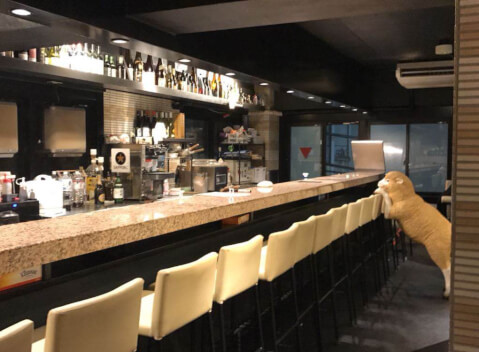 羊サンライズ_店舗内観_麻布十番_東京 ジンギスカン
