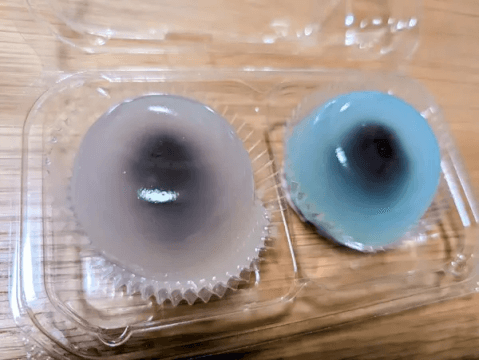 梅花堂_水まんじゅう_名古屋スイーツ_和菓子