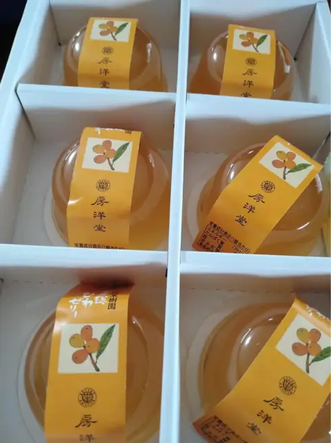 房洋堂_南房総びわゼリー_お土産_館山_グルメ
