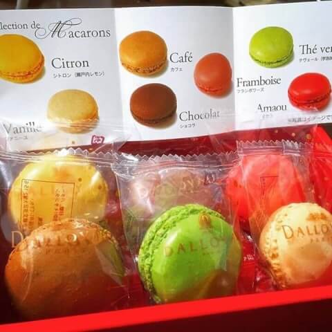dalloyau_macaron