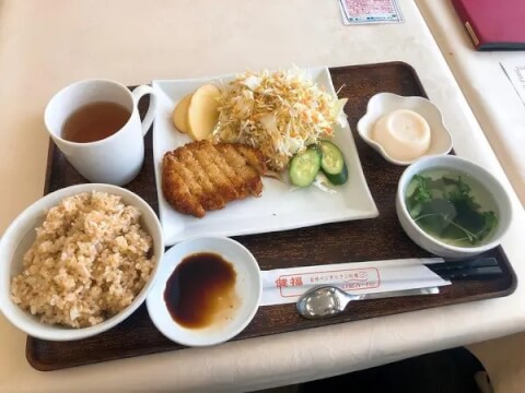 中一素食店_ヒレカツ定食_国立駅ランチ