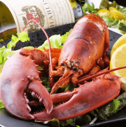 柏の居酒屋ならココ 美味しさ 安さでハズレなしの柏の人気居酒屋16店 はらへり