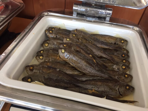 漁港食堂だいぼ_惣菜バイキング_館山_グルメ
