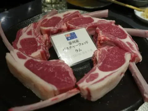 羊サンライズ_豪州産ラム_麻布十番_東京ジンギスカン