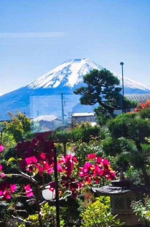 はうす_富士山ビュー_下吉田_吉田うどん