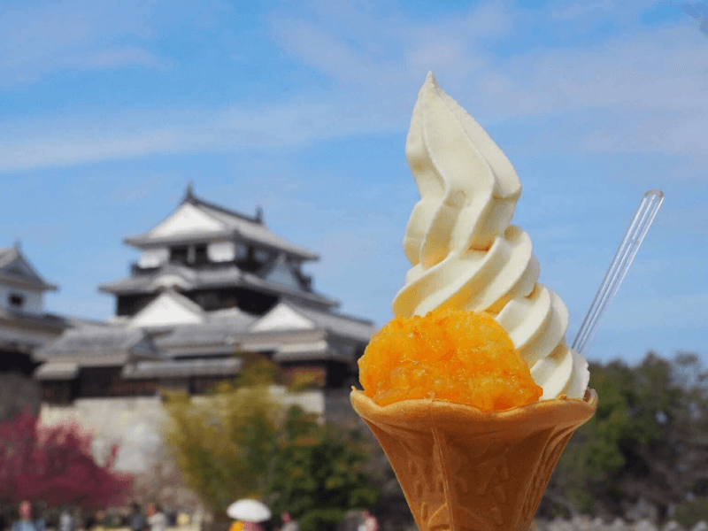 愛媛県のご当地グルメ17選 海産物からb級グルメまで美味しい物が大集合 はらへり