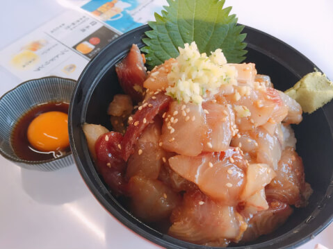 漁港食堂だいぼ_地魚づけ丼_グルメ