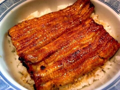 宮川　うな丼　築地おすすめランチ