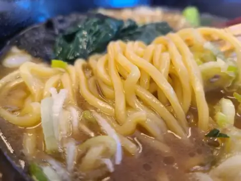 麺屋 達 本店_中太麺_金沢ラーメン