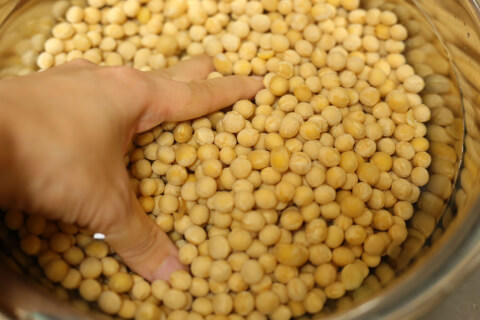 大豆を洗う