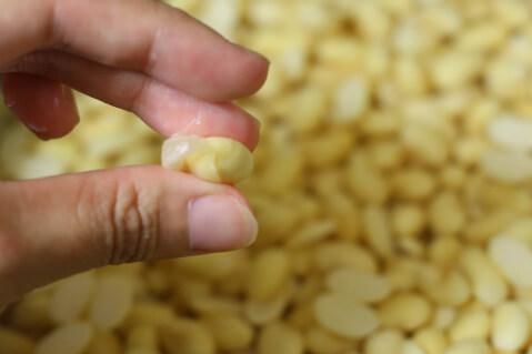 大豆の皮を剥く