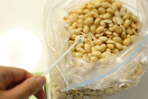 テンペ菌を種付けする