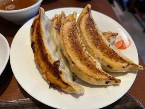 天龍_焼き餃子6個_池袋餃子_おすすめ