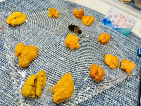 ウニココ_四ツ谷 東京_おすすめ