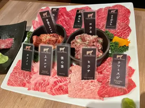 東京 焼肉 食べ放題 yakinikufive