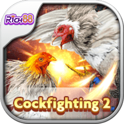 CockFighting2.png