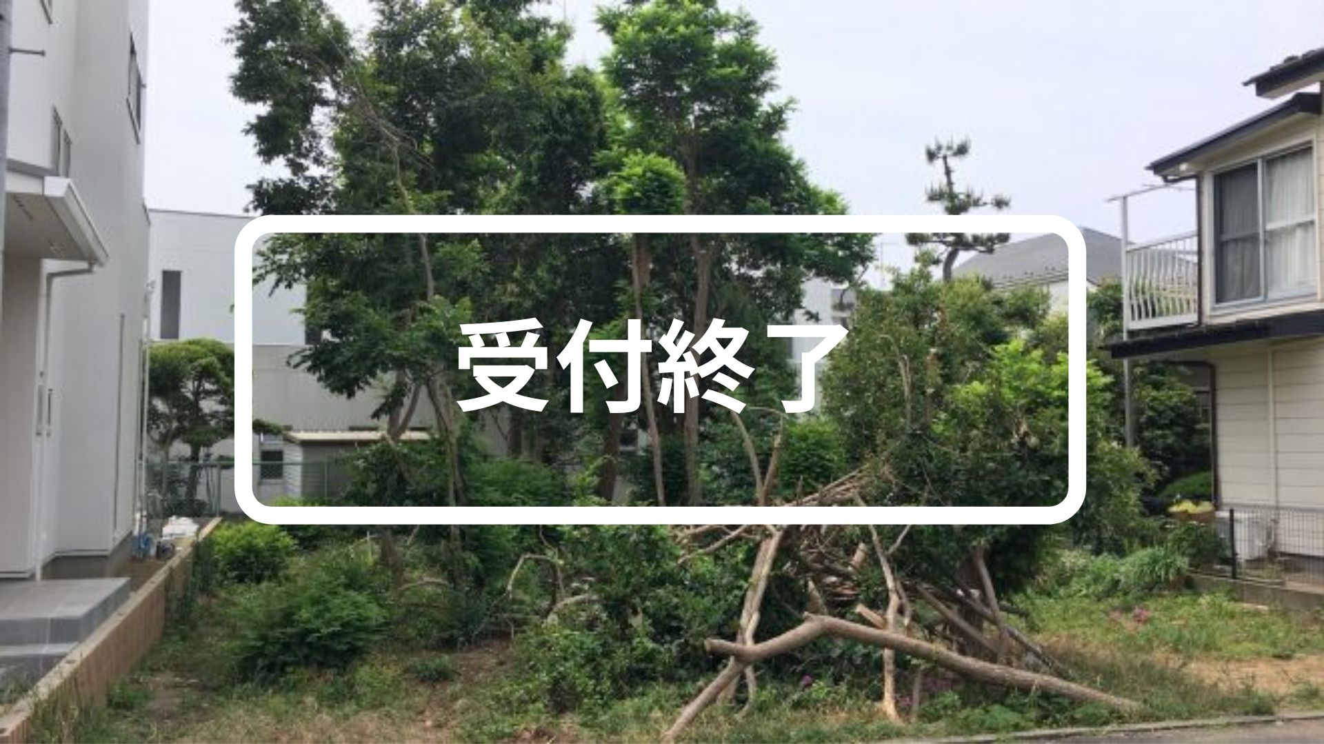 雑木林をリノベーション !?