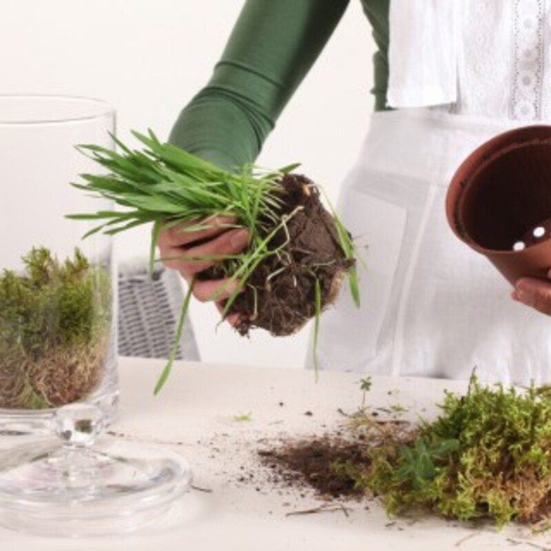 4fe6e851117a55b8acb5cbabd18b55