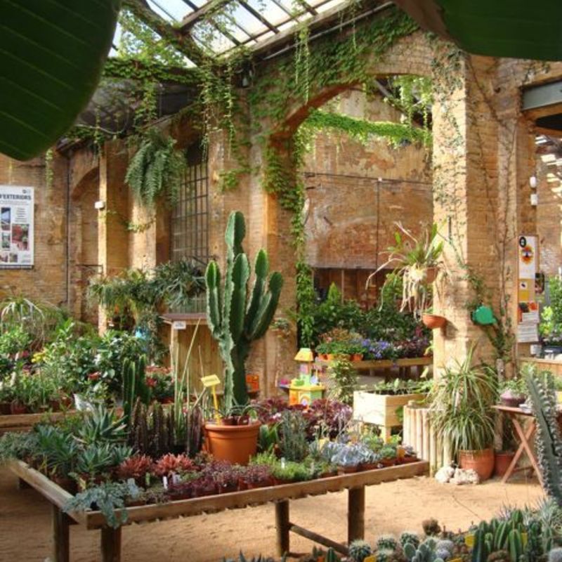 観葉植物の専門店を楽しみましょう ひとはなノート