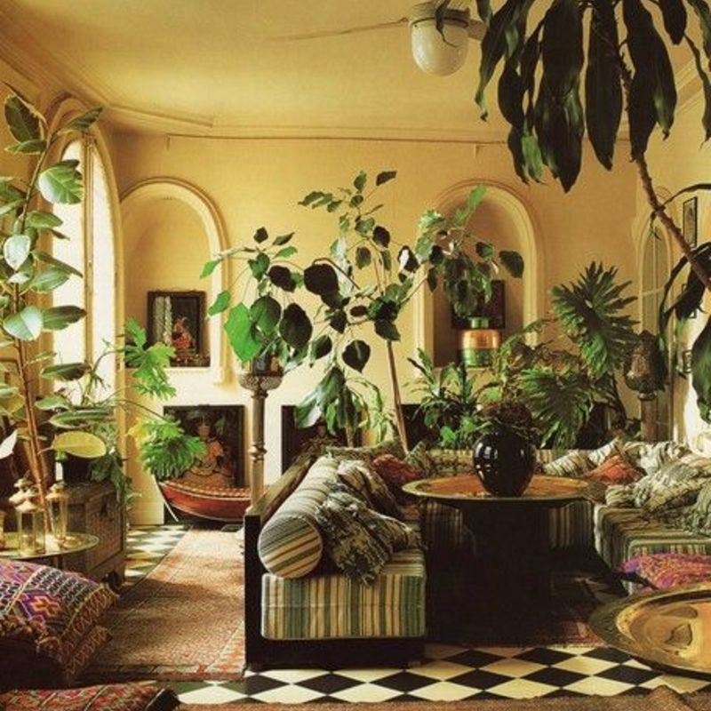 大きさ別】インテリアに人気のおすすめ観葉植物15選！ | ひとはなノート