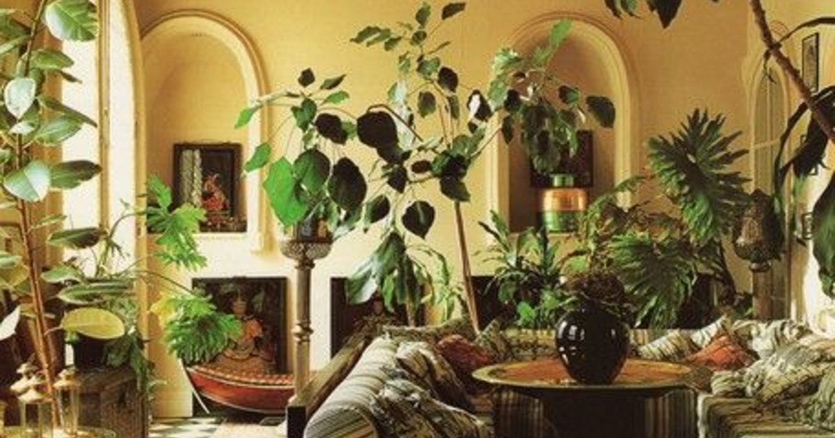 大きさ別 インテリアに人気のおすすめ観葉植物１５選 ひとはなノート