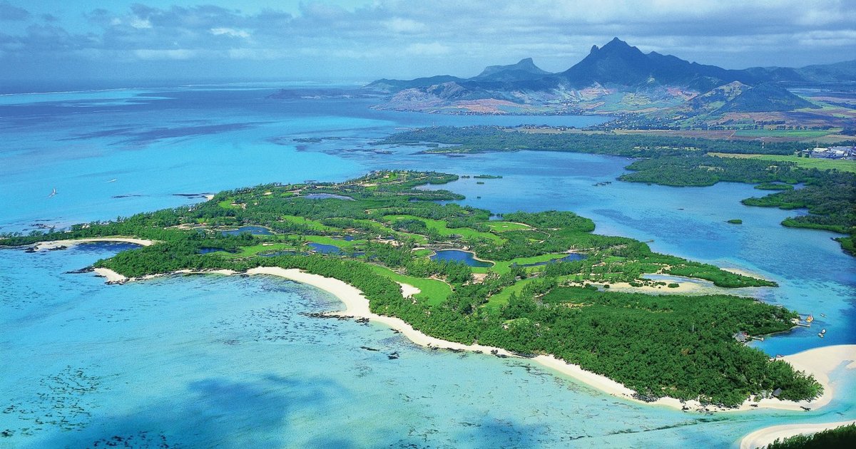 樹形が美しいドラセナ ソング オブ インディアの魅力に迫る ひとはなノート