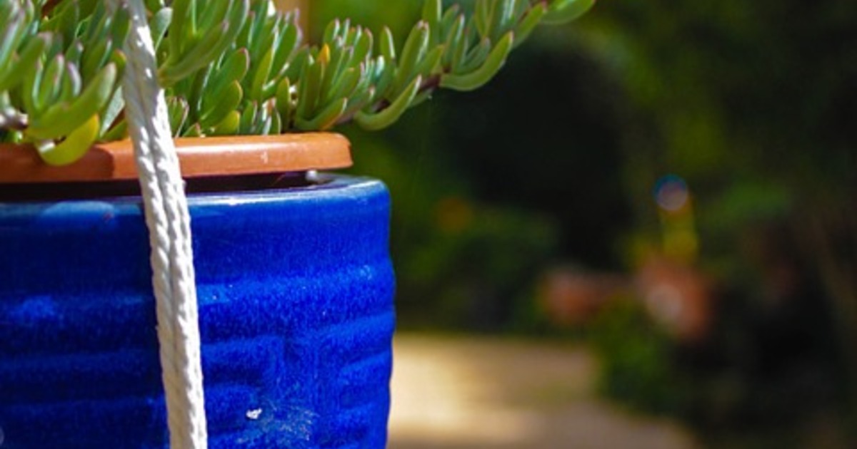 屋外でも使える鉢カバー 屋外用素材とおすすめ観葉植物コラボ ひとはなノート 屋外でも使える鉢カバー 屋外用素材とおすすめ観葉植物コラボ ひとはなノート